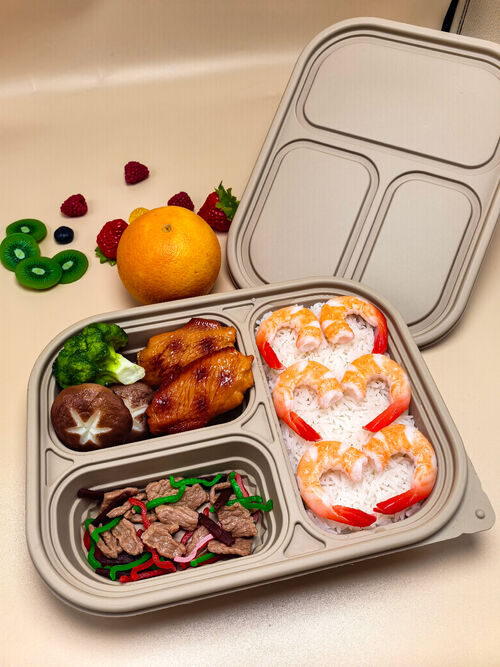 Latest company Solutions about Overcoming the Difficulty of Bamboo Powder Degradation Tableware - A Record of Our Guangdong Customer's Bamboo Fiber Mea