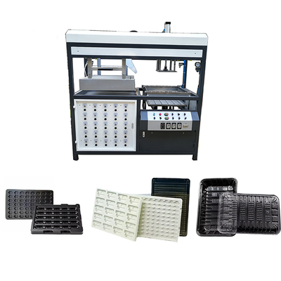 Buon prezzo 560 mm di larghezza Blister Forming Machine Easy Operate Plastic Thermoforming Machine in linea