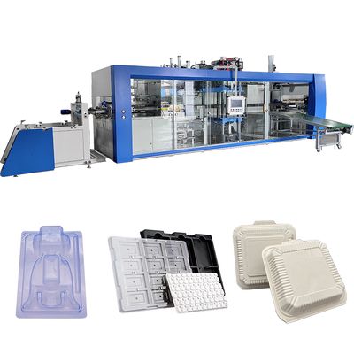 Buen precio Máquina de termoformado de ampollas de control PLC Máquina de termoformado continuo para bandejas de embalaje de galletas Máquina de termoformado de varias estaciones para envases de ampollas de dulces en línea