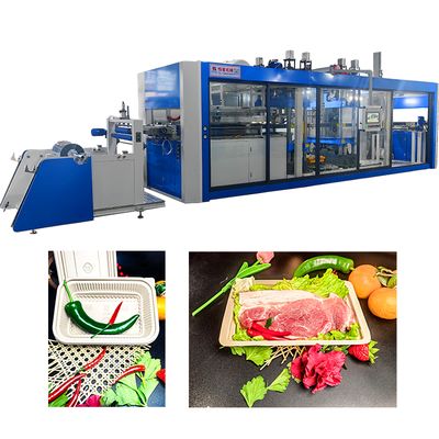 Good price Fully Automatic PET/PP/PS/PVC/EPS Food Fruit Trays Lid Thermoforming Machine Servo Motor Drive Touch Screen Control Pump High Vacuum Forming Equipment online