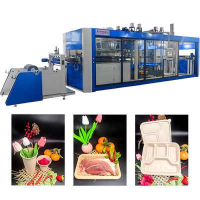 İyi bir fiyat. Tam Otomatik Plastik Kapak Yapma Makinesi Tohumlama Tepsisi Yumurta Tepsisi Pasta Tepsisi Formasyon Makinesi çevrimiçi